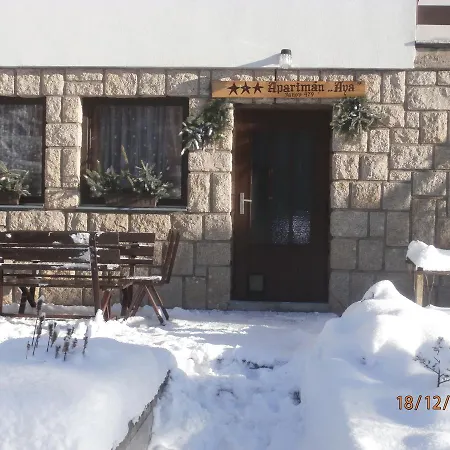 Aya Janov nad Nisou